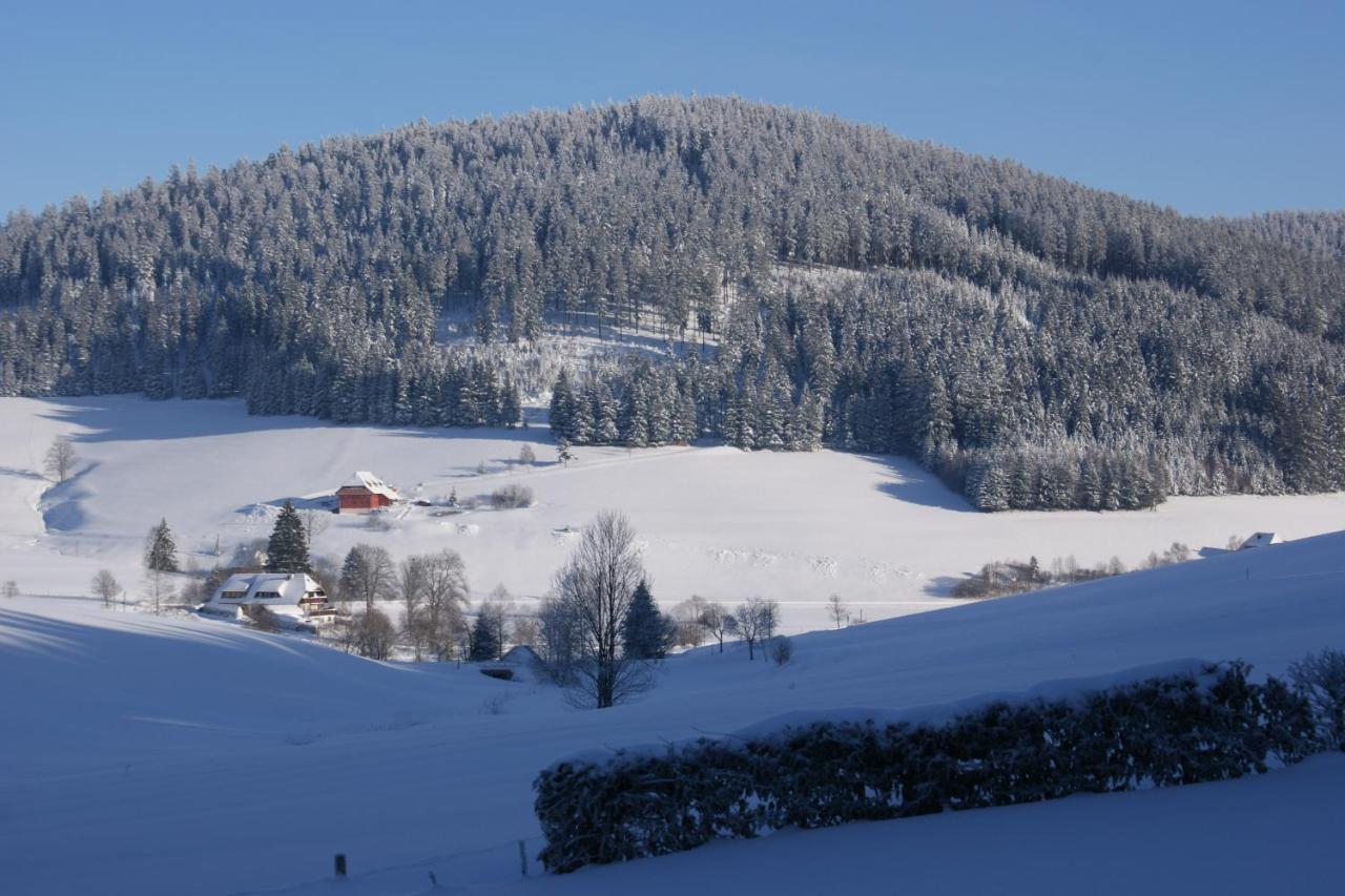 Zur Traube Schwarzwaldhotel & Restaurant Am Titisee Sankt Märgen Extérieur photo